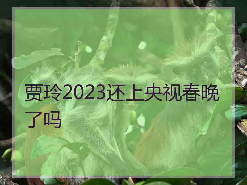 贾玲2023还上央视春晚了吗