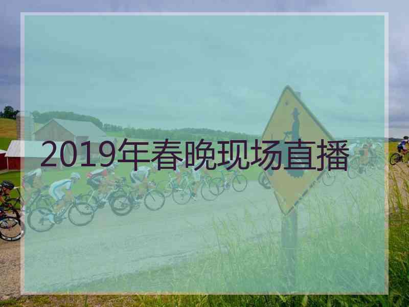 2019年春晚现场直播