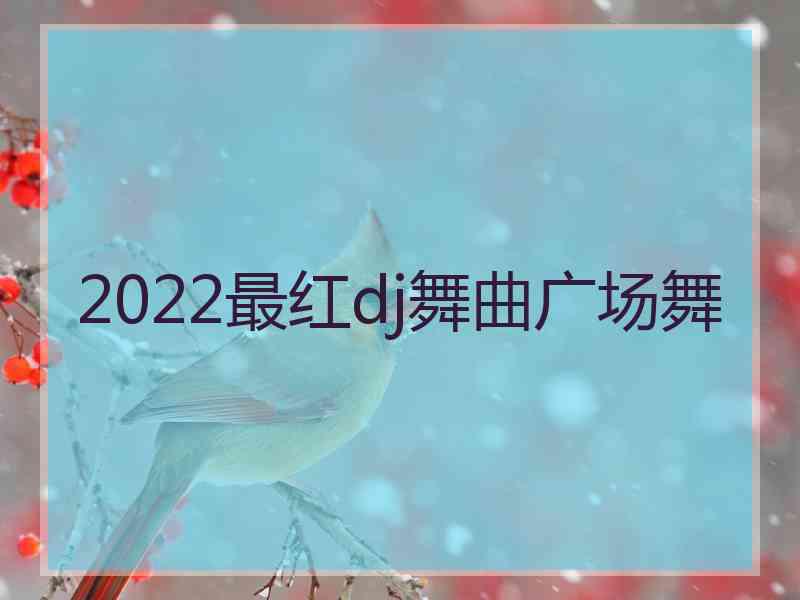 2022最红dj舞曲广场舞