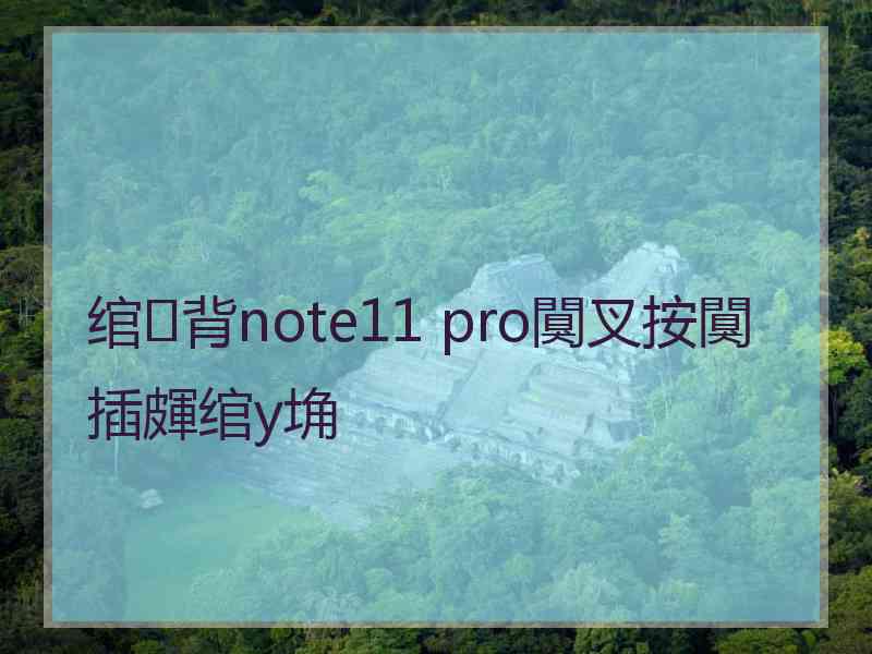 绾㈢背note11 pro闃叉按闃插皹绾у埆