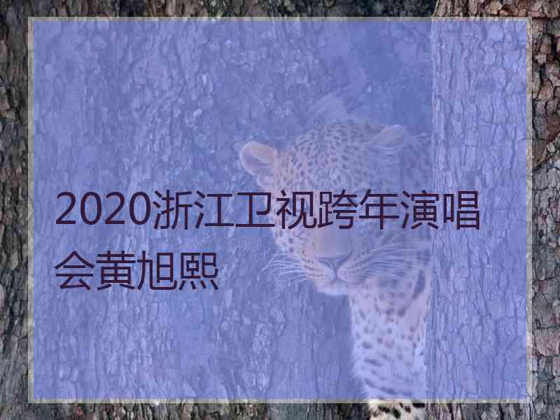 2020浙江卫视跨年演唱会黄旭熙