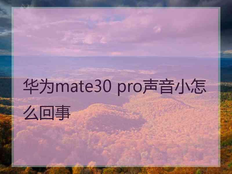 华为mate30 pro声音小怎么回事