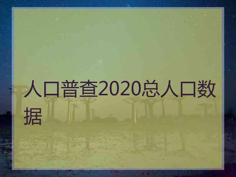 人口普查2020总人口数据