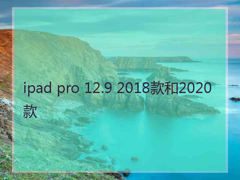 ipad pro 12.9 2018款和2020款