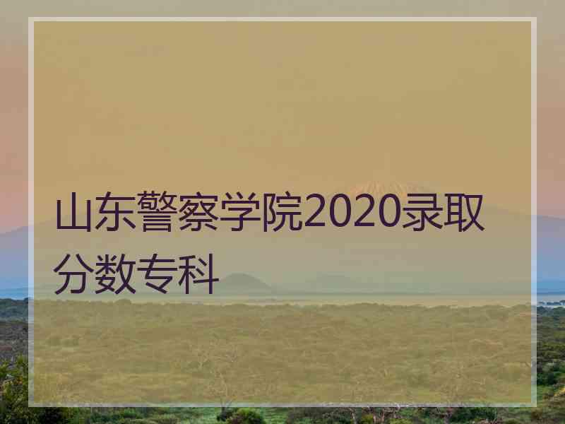 山东警察学院2020录取分数专科