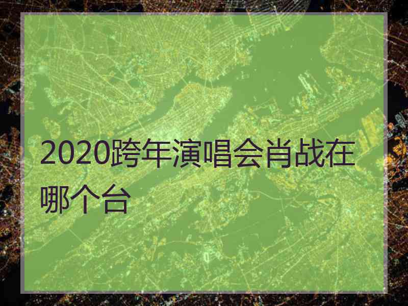 2020跨年演唱会肖战在哪个台