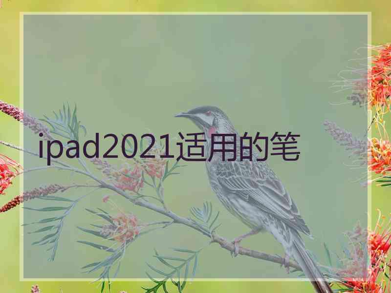 ipad2021适用的笔