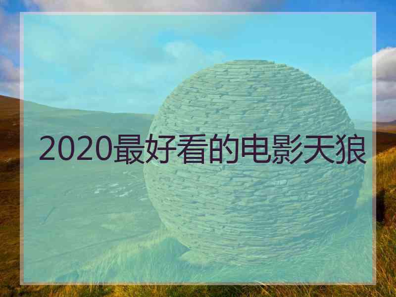 2020最好看的电影天狼