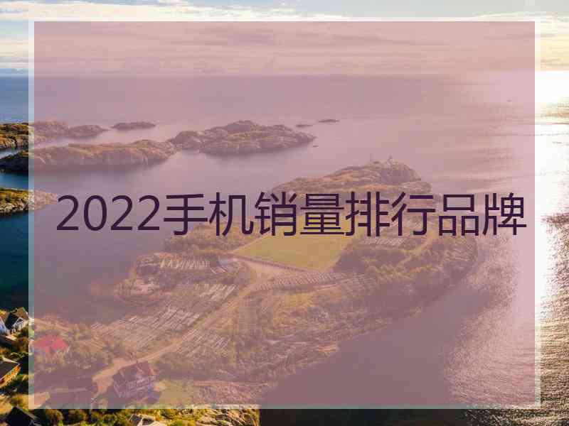 2022手机销量排行品牌