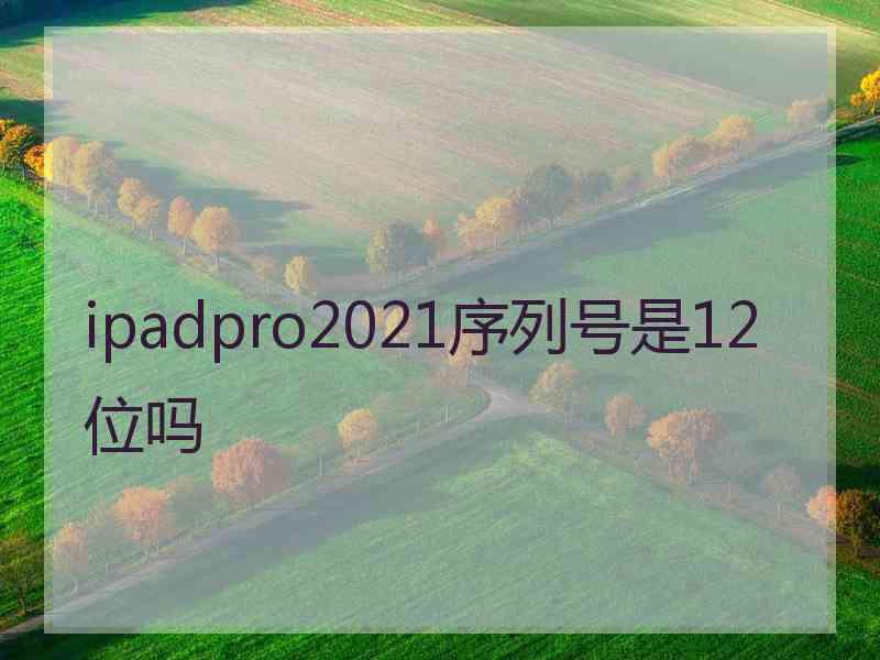 ipadpro2021序列号是12位吗