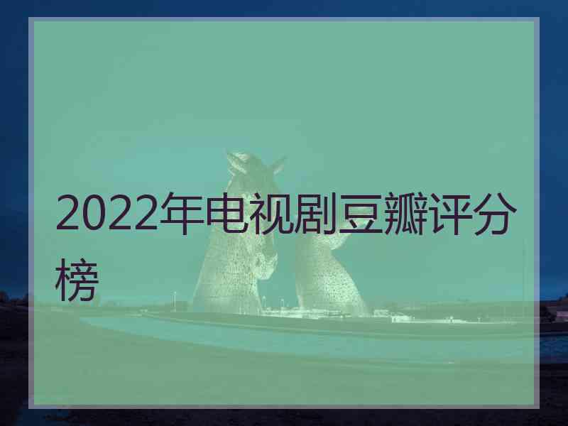 2022年电视剧豆瓣评分榜