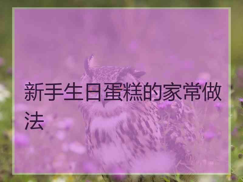 新手生日蛋糕的家常做法