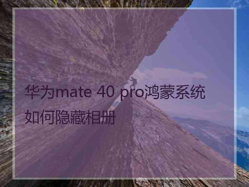 华为mate 40 pro鸿蒙系统如何隐藏相册