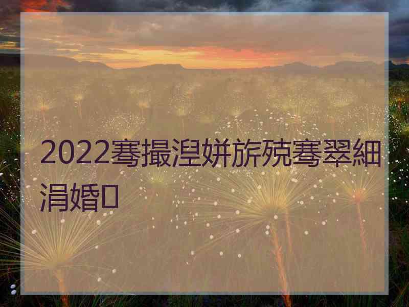 2022骞撮湼姘旂殑骞翠細涓婚