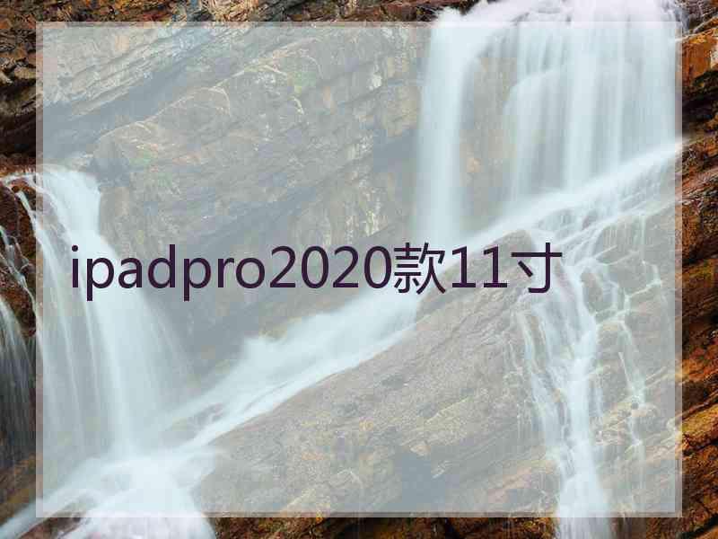 ipadpro2020款11寸