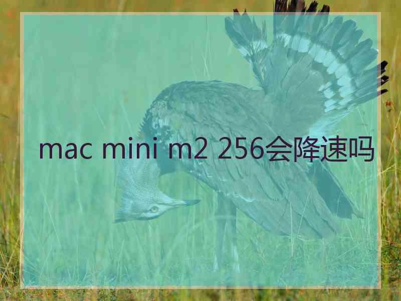 mac mini m2 256会降速吗