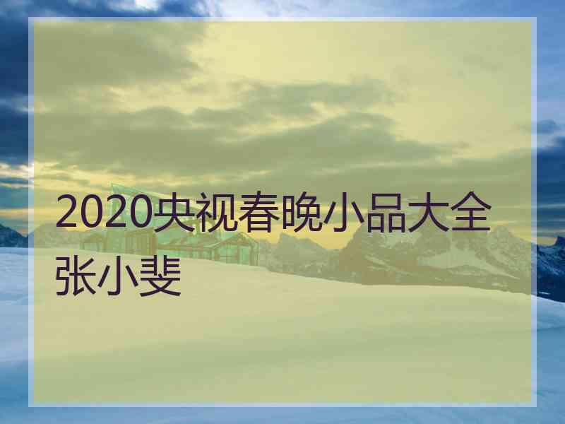 2020央视春晚小品大全张小斐