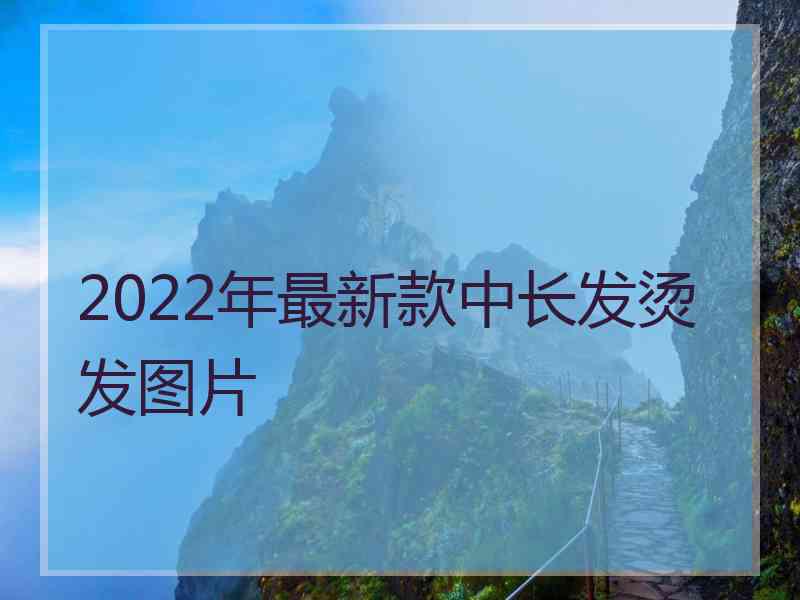 2022年最新款中长发烫发图片