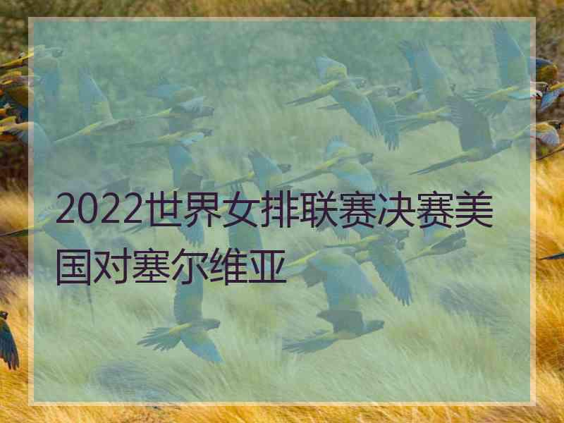 2022世界女排联赛决赛美国对塞尔维亚