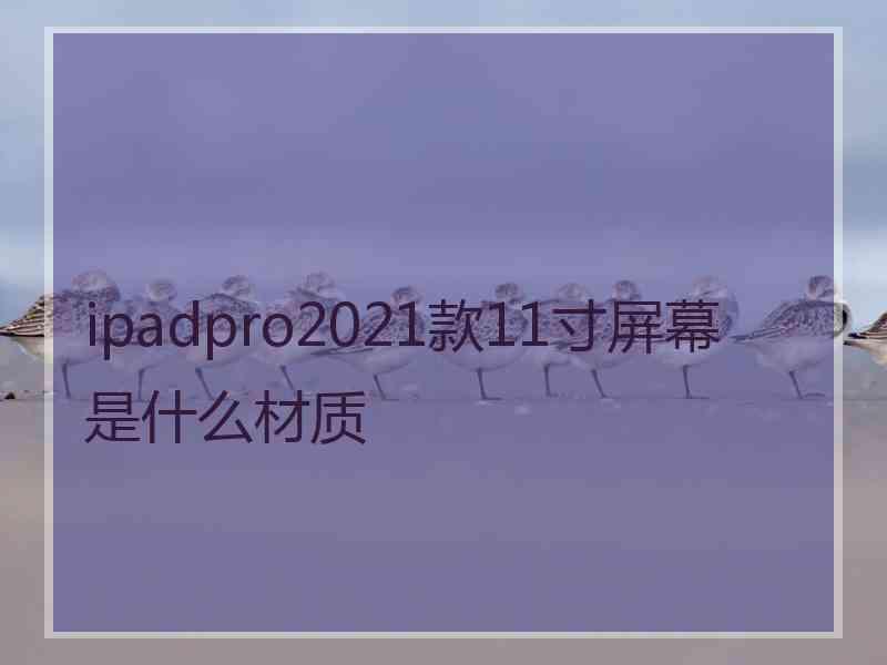 ipadpro2021款11寸屏幕是什么材质