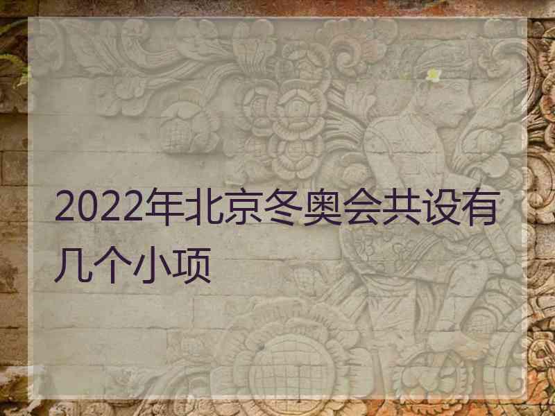 2022年北京冬奥会共设有几个小项