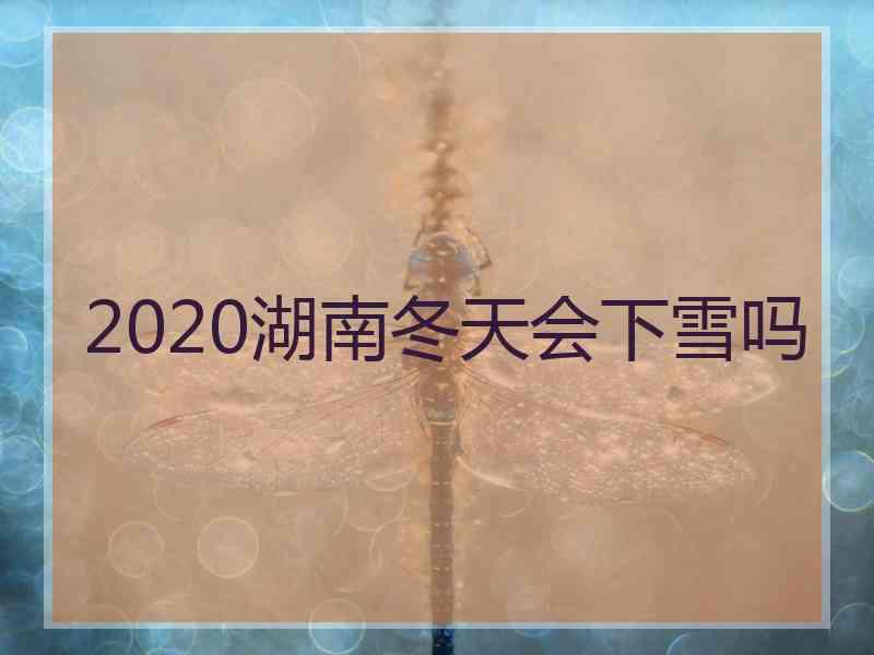 2020湖南冬天会下雪吗