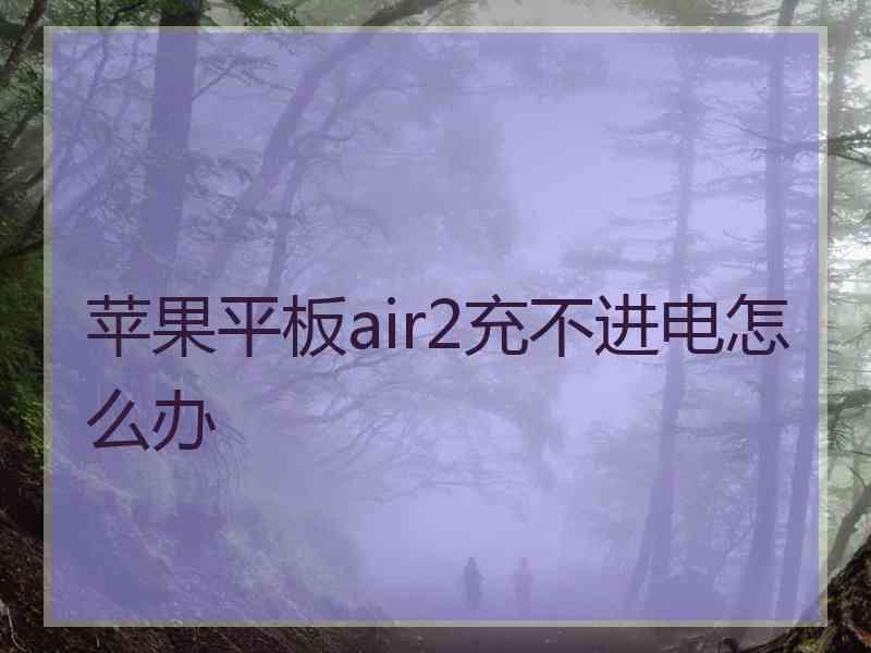 苹果平板air2充不进电怎么办