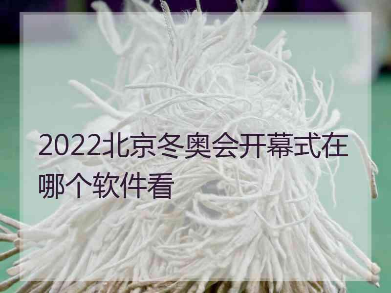 2022北京冬奥会开幕式在哪个软件看