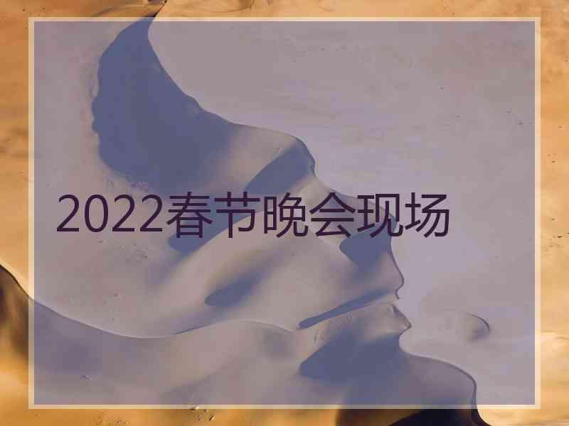 2022春节晚会现场