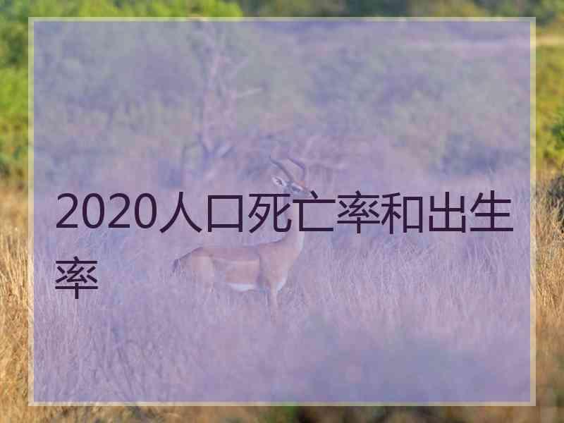 2020人口死亡率和出生率