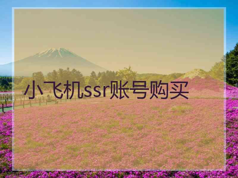 小飞机ssr账号购买