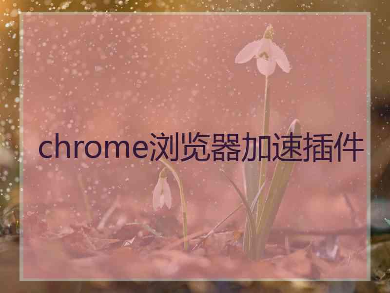 chrome浏览器加速插件