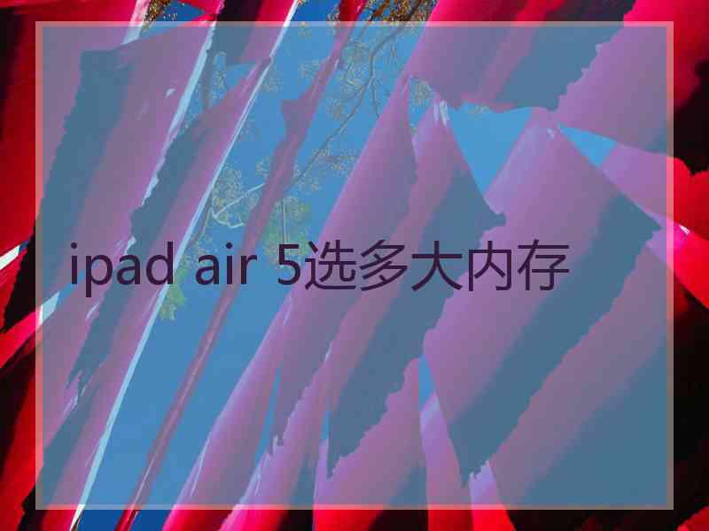 ipad air 5选多大内存