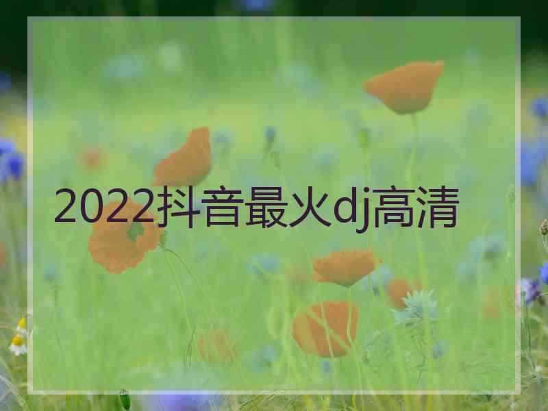 2022抖音最火dj高清