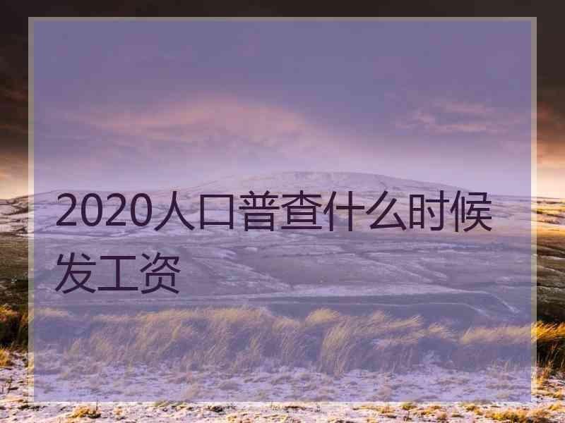 2020人口普查什么时候发工资