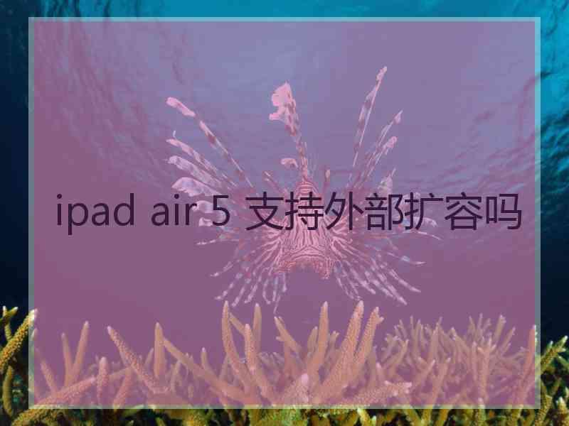 ipad air 5 支持外部扩容吗