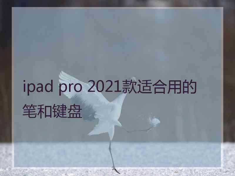 ipad pro 2021款适合用的笔和键盘