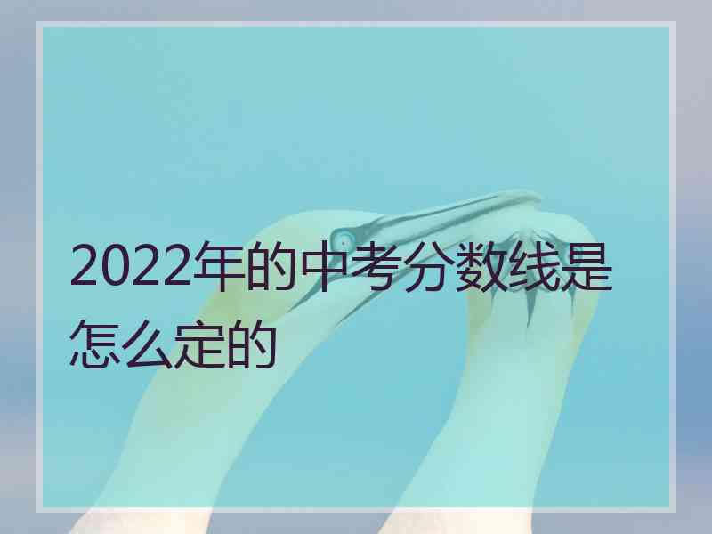 2022年的中考分数线是怎么定的