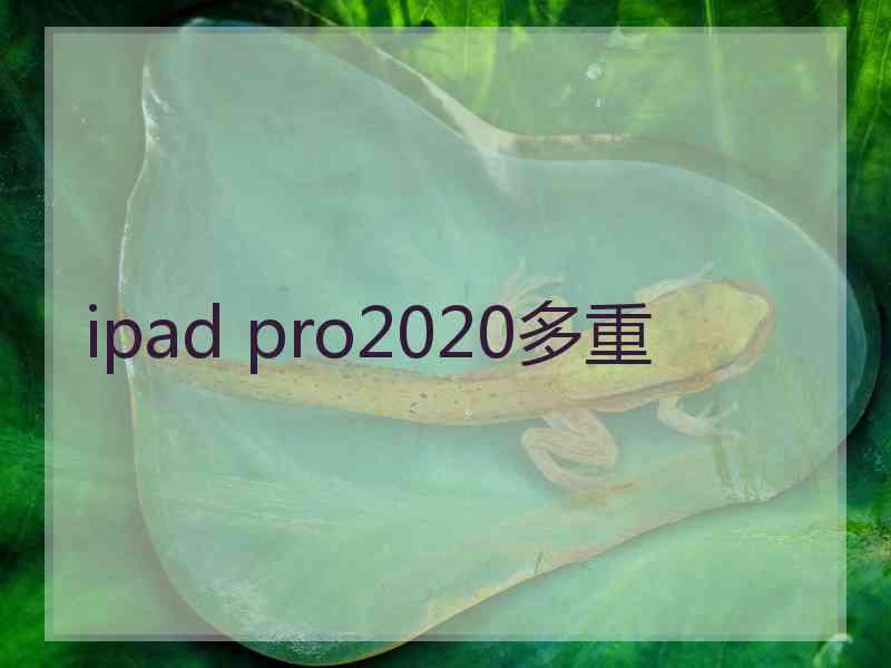 ipad pro2020多重