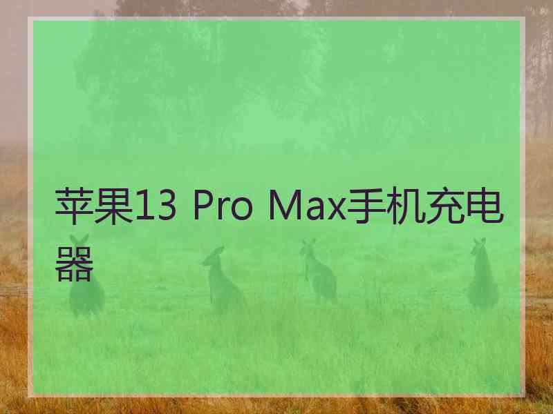 苹果13 Pro Max手机充电器