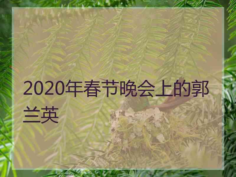 2020年春节晚会上的郭兰英