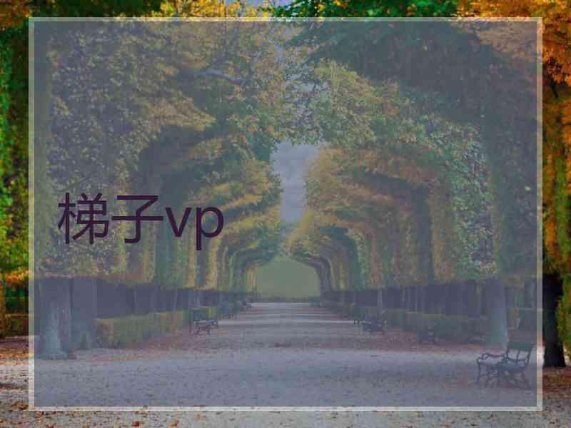 梯子vp