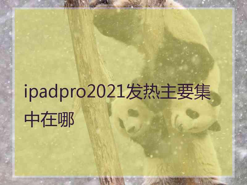 ipadpro2021发热主要集中在哪