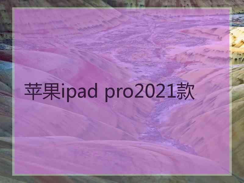 苹果ipad pro2021款