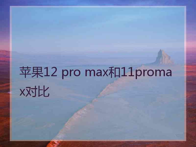 苹果12 pro max和11promax对比