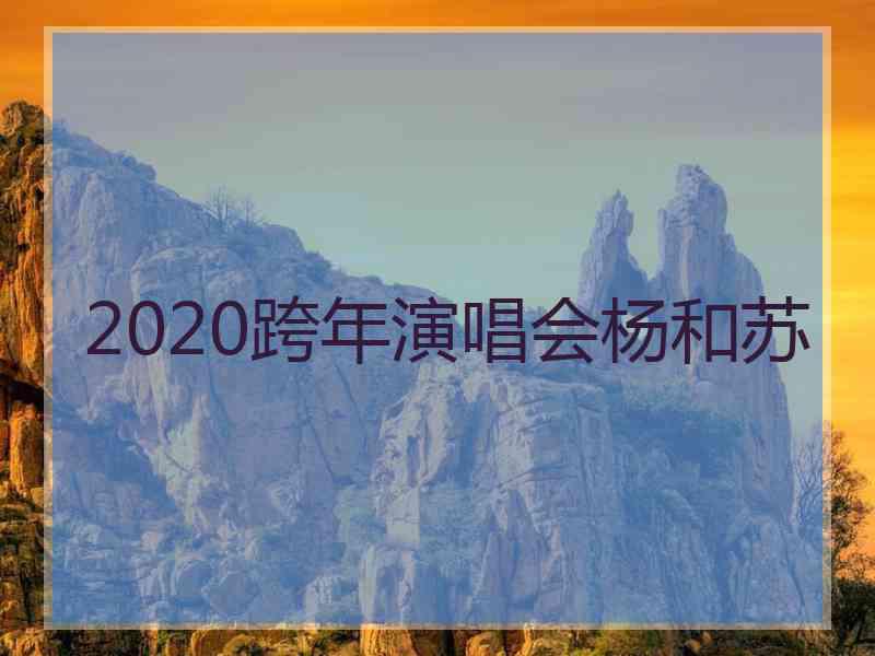 2020跨年演唱会杨和苏