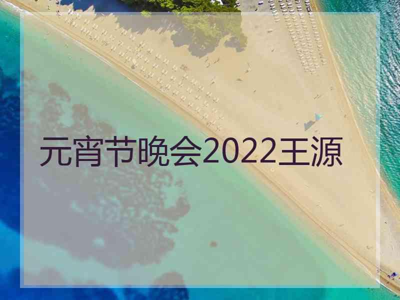 元宵节晚会2022王源