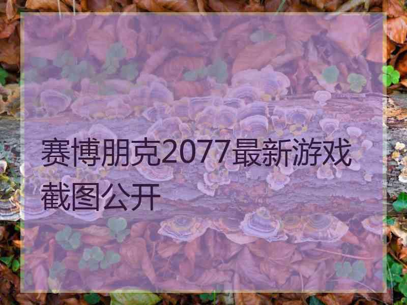 赛博朋克2077最新游戏截图公开