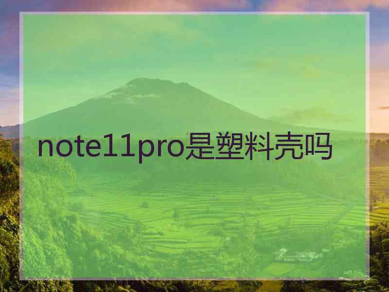 note11pro是塑料壳吗