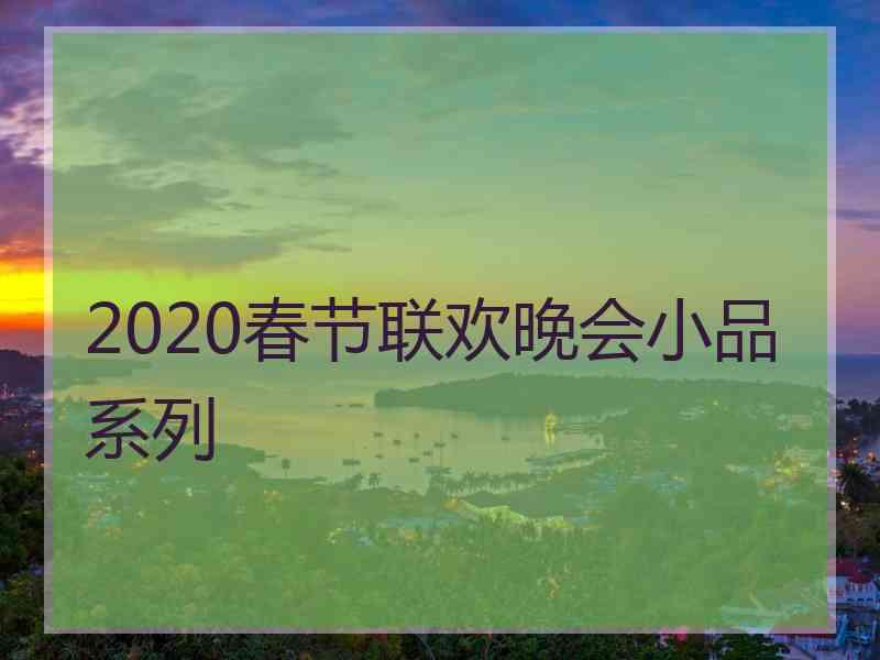 2020春节联欢晚会小品系列